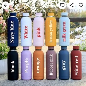 Insulated water bottle